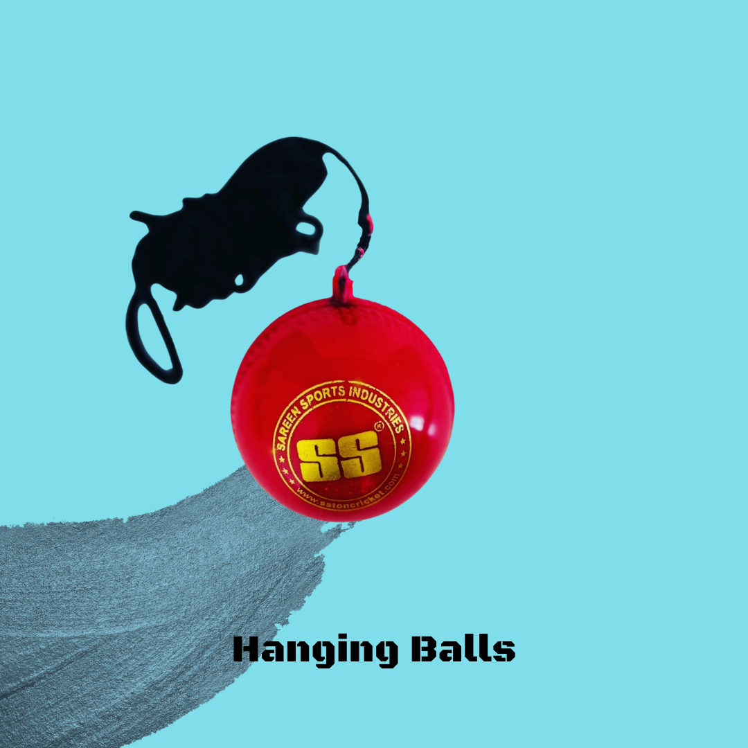 SS Hanging Practice Ball
