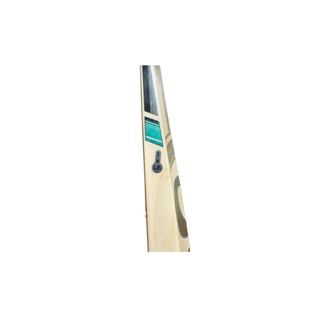 CA Pro 10000 Cricket Bat