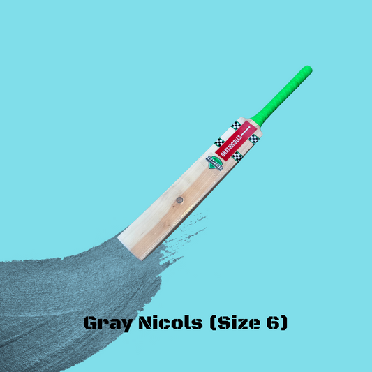 Cricket Bats Youth (Size 6)